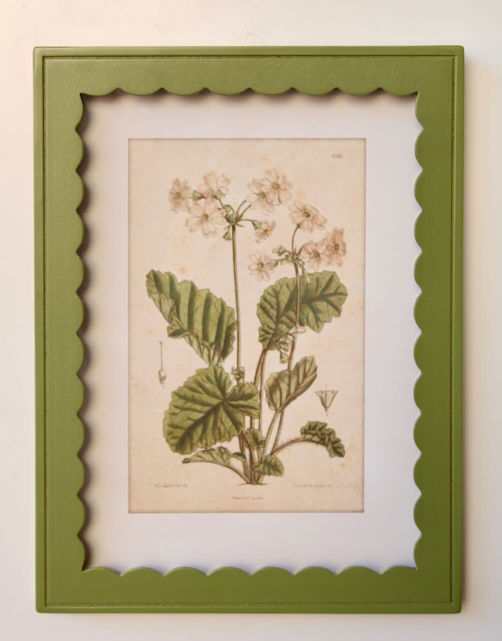 Green Scallop Box Frame Botanical